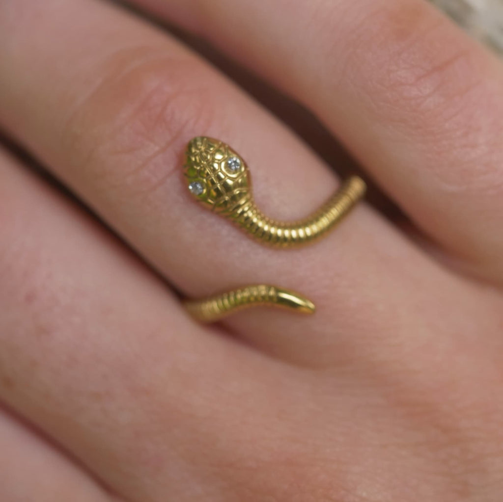 Schlange mit Funkelnden Augen Ring