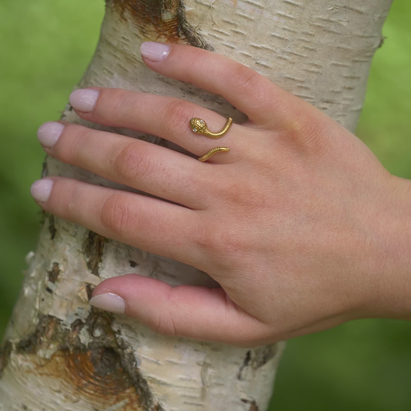 Schlange mit Funkelnden Augen Ring